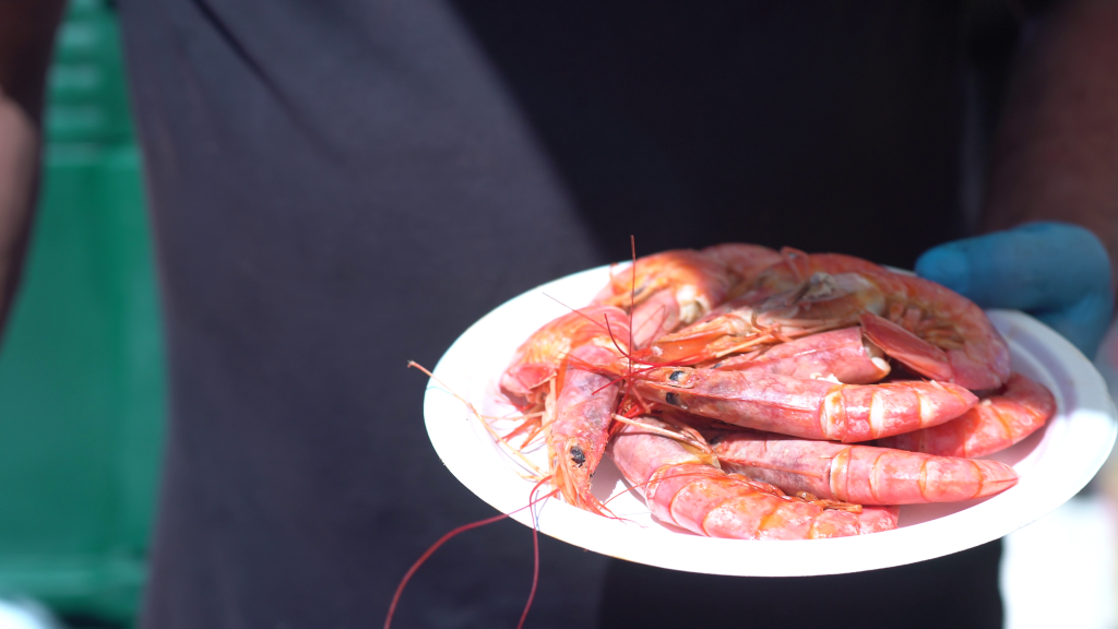 vlcsnap-2025-05-29-04h43m14s570