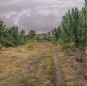 MONTE DE SANTA CECÍA